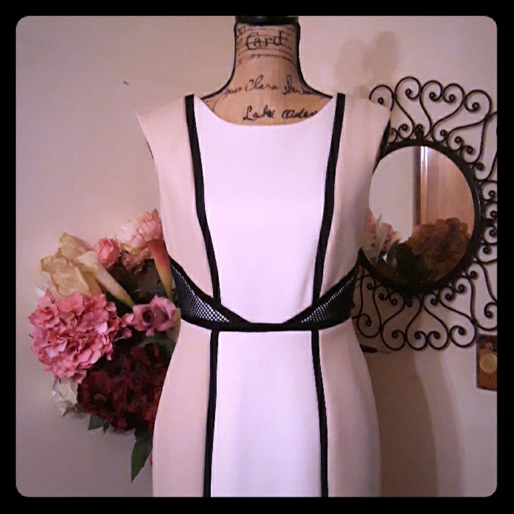 Sandra Darren Cream Midi Dress with Black Trim